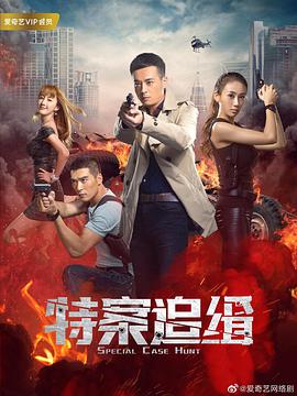 特案追缉 第12集