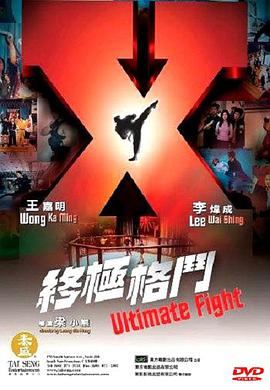 终极格斗(大结局)