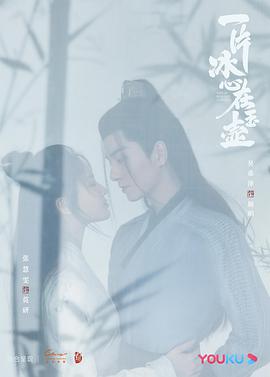 一片冰心在玉壶 第21集