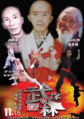 武林探秘(大结局)