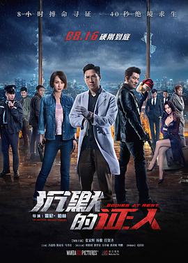 沉默的证人(大结局)