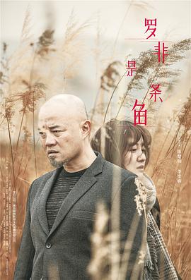 罗非是条鱼(大结局)