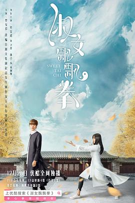 淑女飘飘拳 第15集