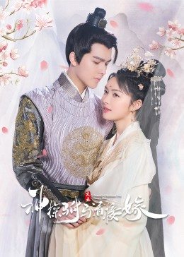 神探驸马请接嫁 第21集