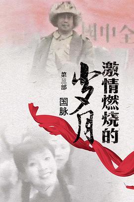 激情燃烧的岁月3 第12集