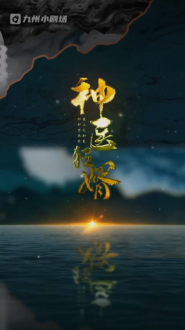 神医狂婿 第73集