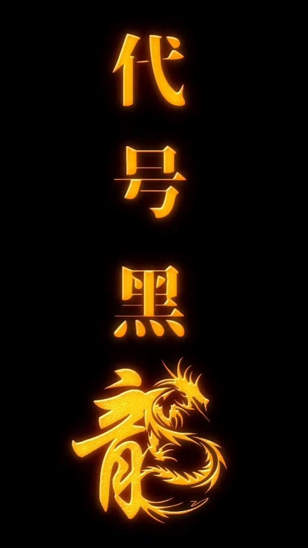 代号黑龙 第11集