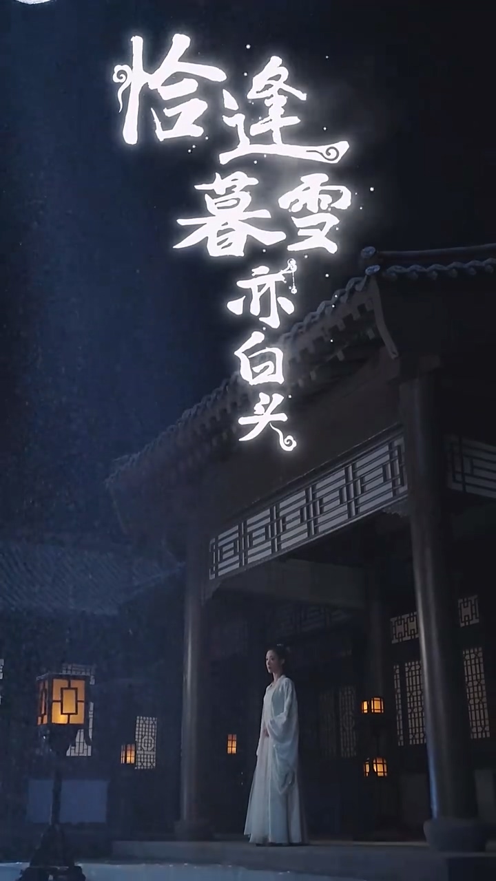 恰逢暮雪亦白头 第38集