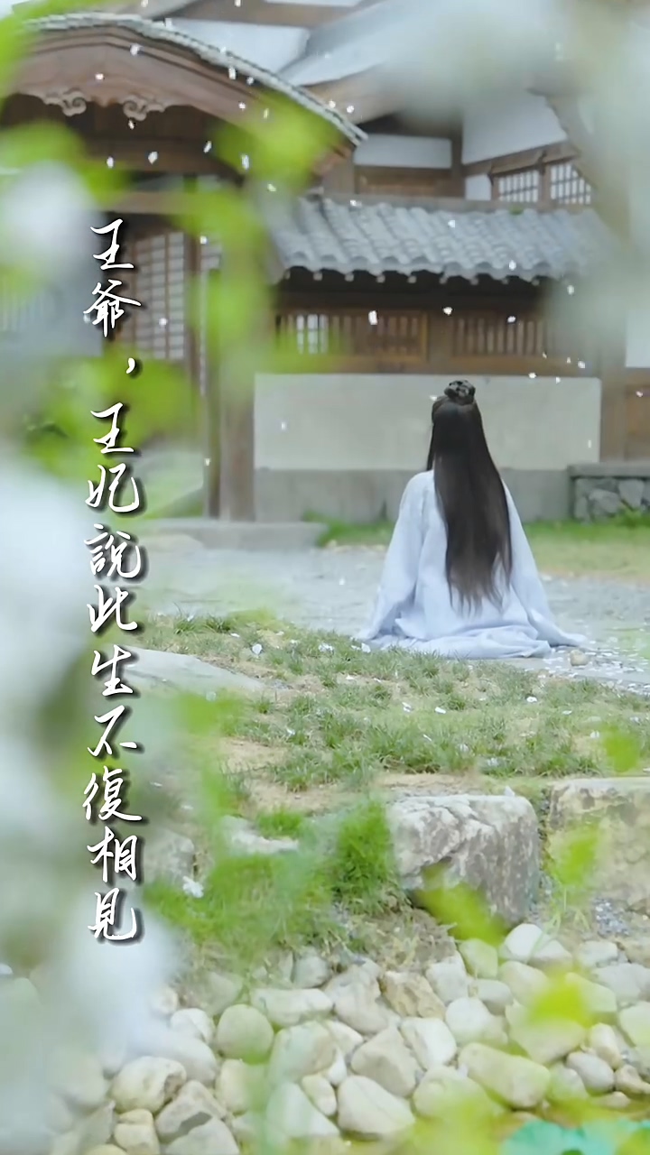 王爷，王妃说此生不复相见 第42集