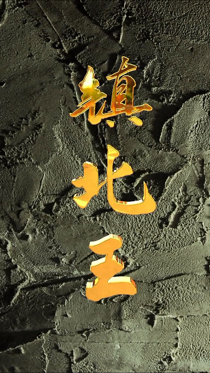 镇北王 第17集