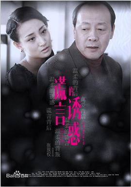 谎言的诱惑 第43集