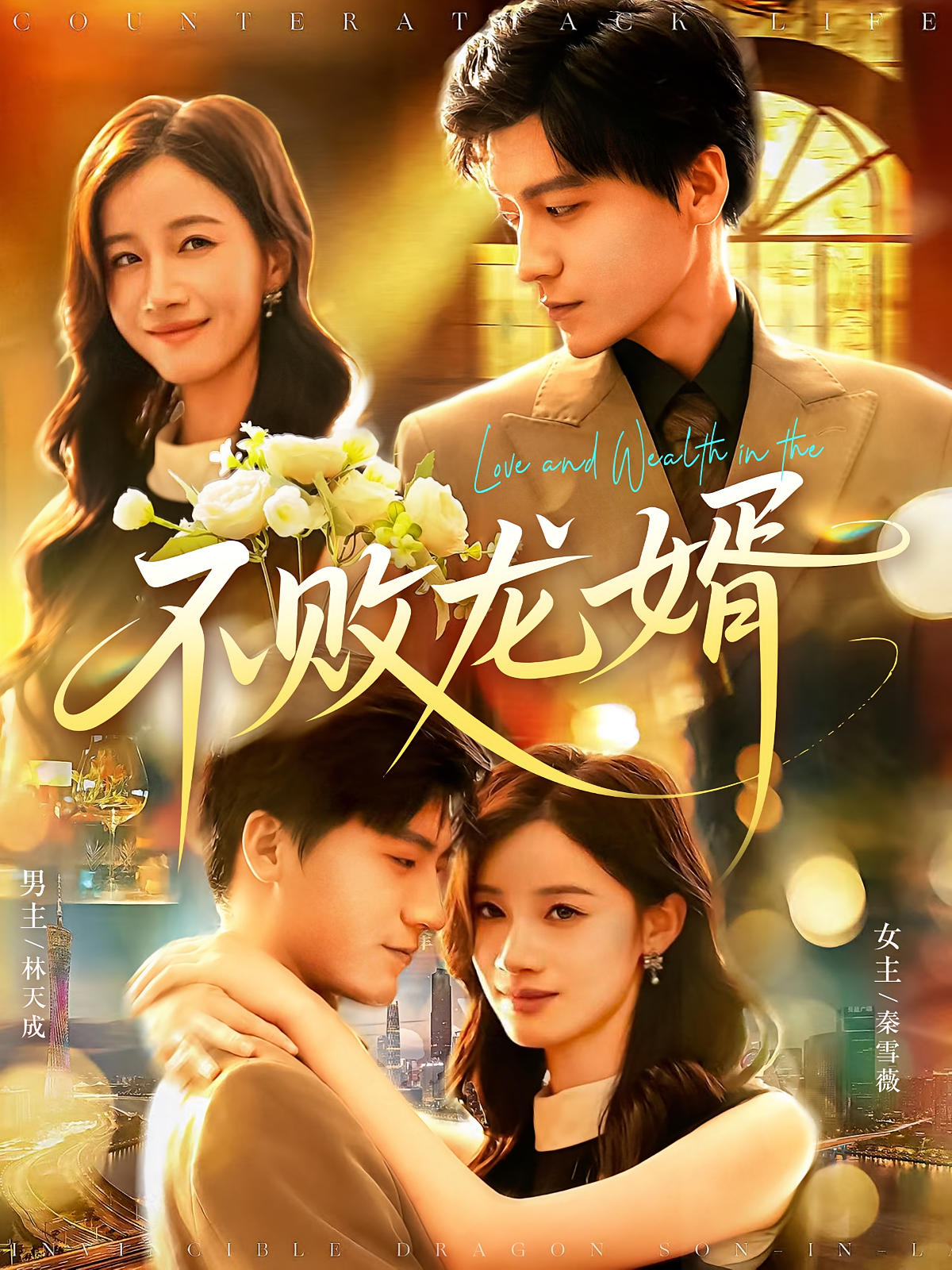 不败龙婿(全集)