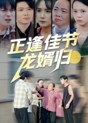 正逢佳节龙婿归(全集)