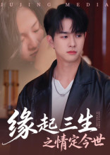 缘起三生之情定今世(全集)