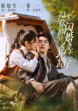 陆少，你的闪婚妻子又跑路了(全集)