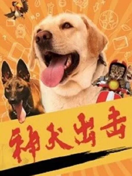 神犬出击(全集)