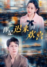 你是迟来的欢喜(全集)