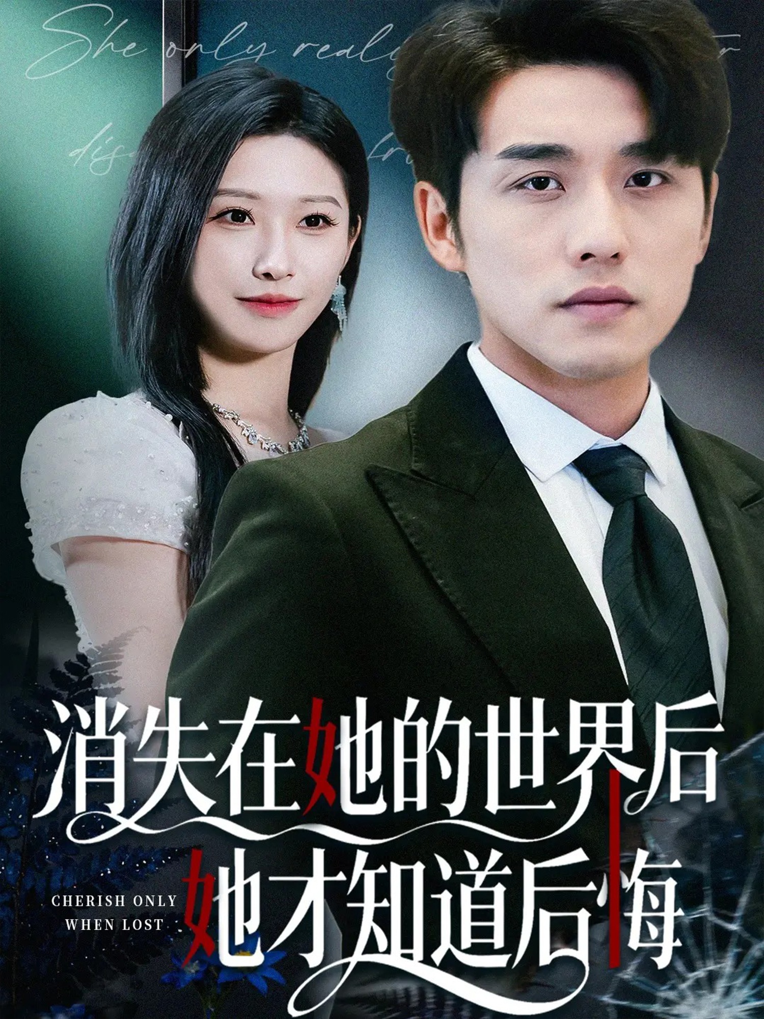 消失在她的世界后她才知道后悔(全集)