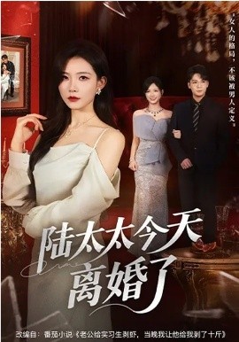 陆太太今天离婚了(全集)