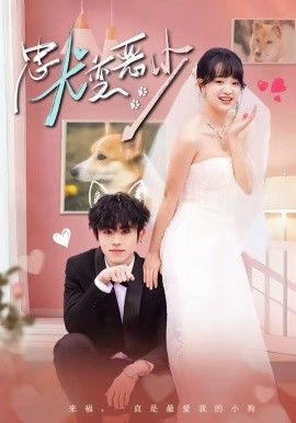 惊！我家来福变恶少了(全集)