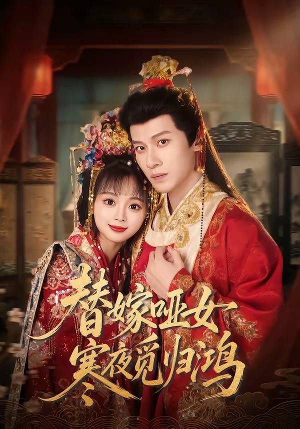 替嫁哑女寒夜觅归鸿(全集)